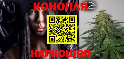 эйфоретик Кингисепп