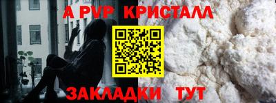 эйфоретик Кингисепп