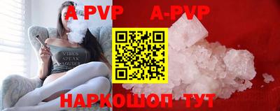 эйфоретик Кингисепп