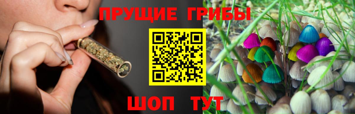 Псилоцибиновые грибы мухоморы  Вход с VPN  Королёв 